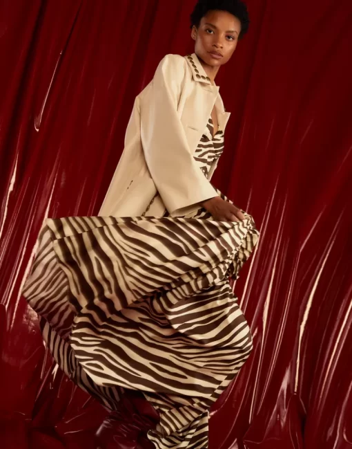 Online Cynthia Rowley Wild Side Silk Dress Zebra